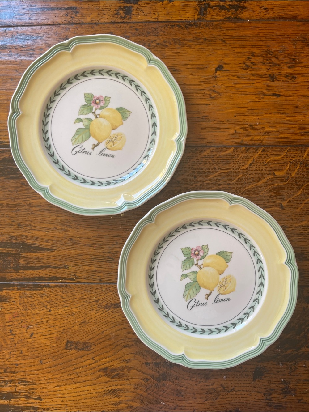 TwoVilleroy & Boch Lemon French Garden ‘Valence’ Salad Plates 8”Yellow and Green